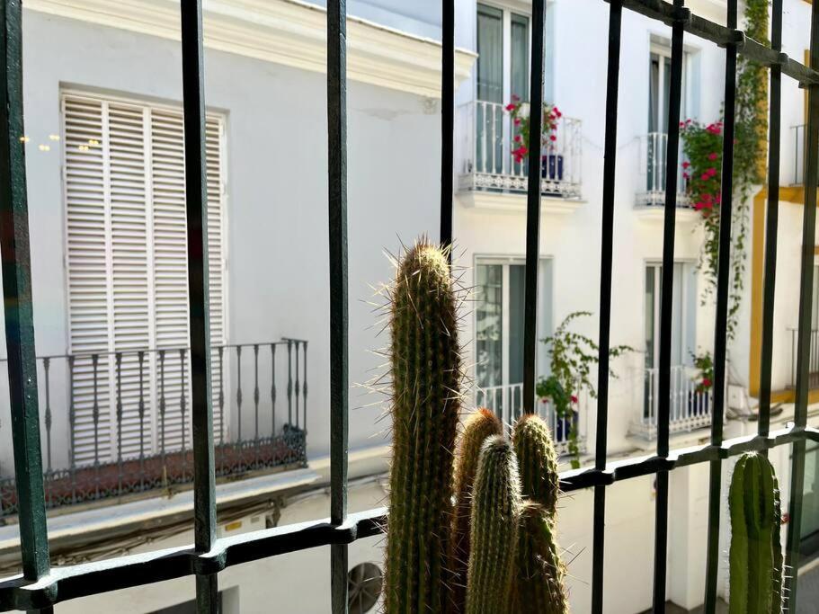 Apartamento Suite Alameda De Hercules Sevilla Exteriér fotografie